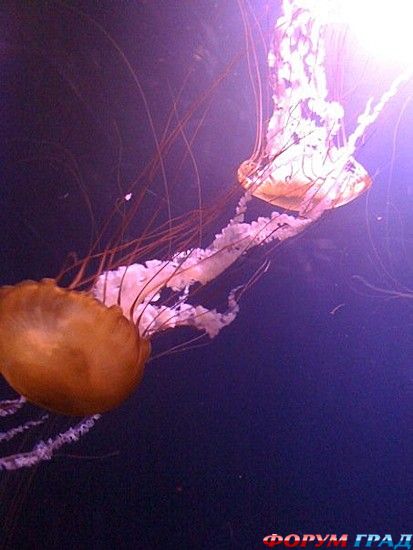 самостоятельные путешествия