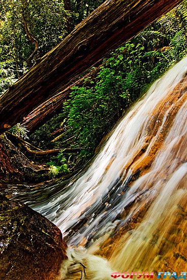 самостоятельные путешествия