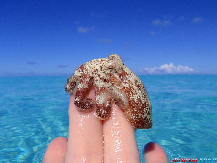 самостоятельные путешествия