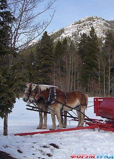 самостоятельные путешествия