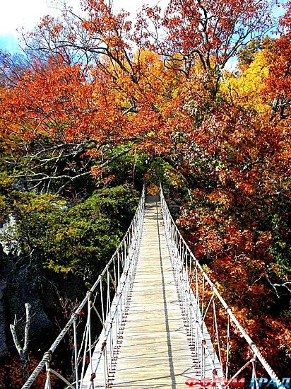 Самостоятельные путешествия