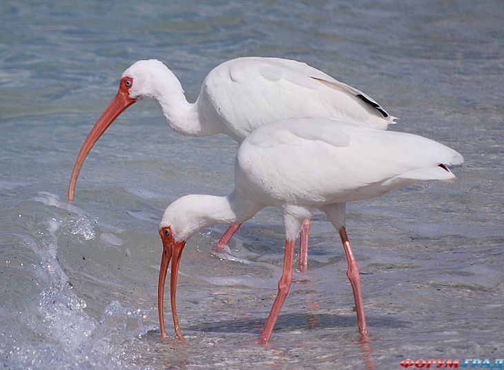 самостоятельные путешествия