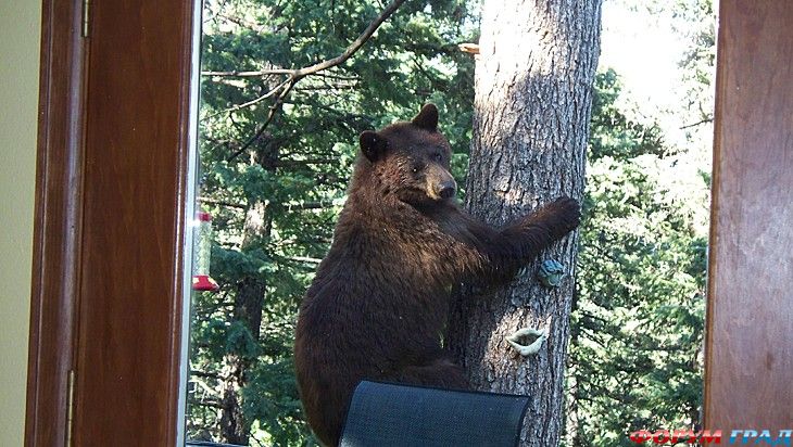 Самостоятельные путешествия