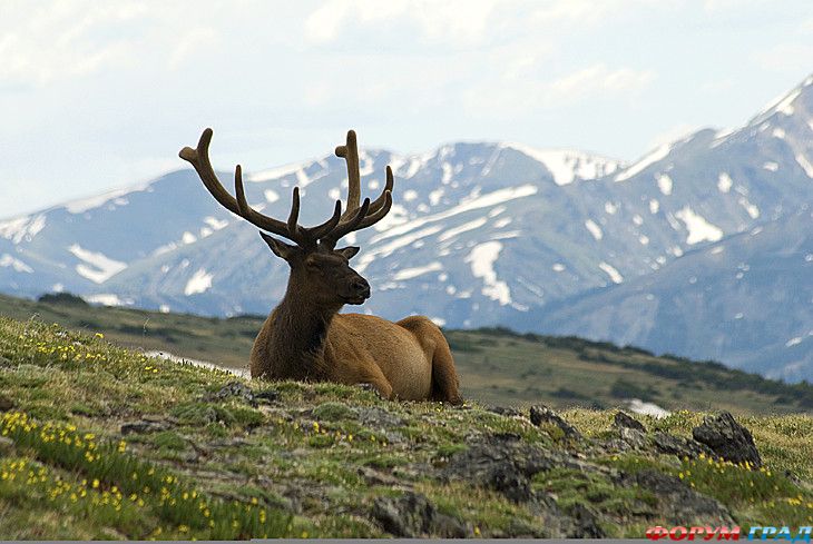 самостоятельные путешествия