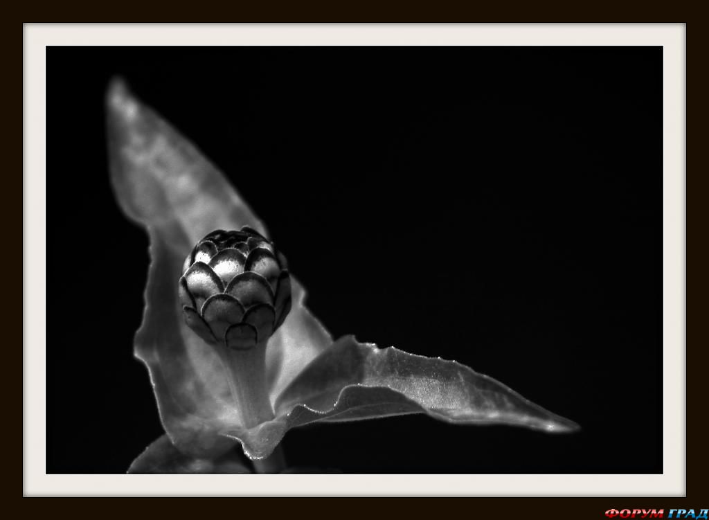 Самостоятельные путешествия