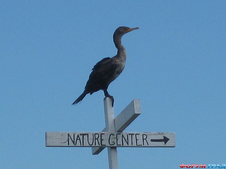 Самостоятельные путешествия