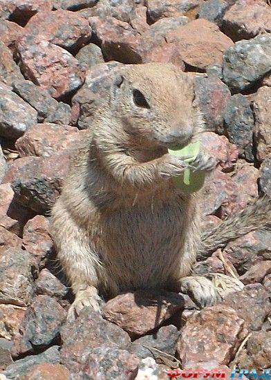 Самостоятельные путешествия
