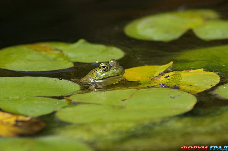 самостоятельные путешествия