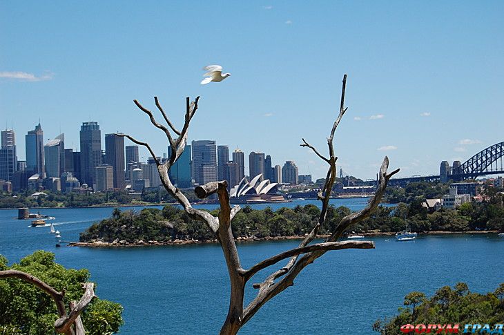 Самостоятельные путешествия