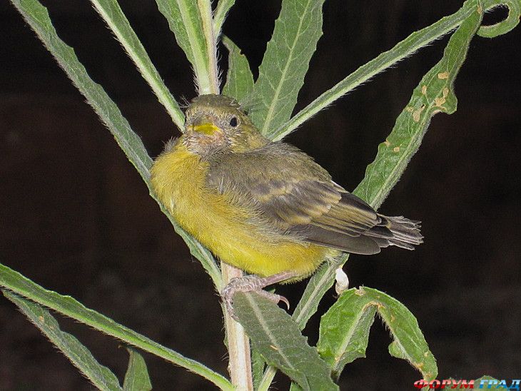 самостоятельные путешествия