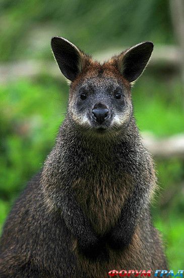 Самостоятельные путешествия