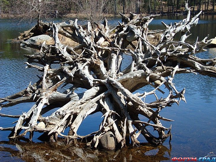 Самостоятельные путешествия