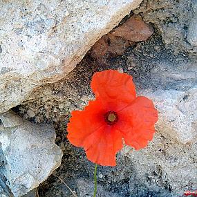 Самостоятельные путешествия