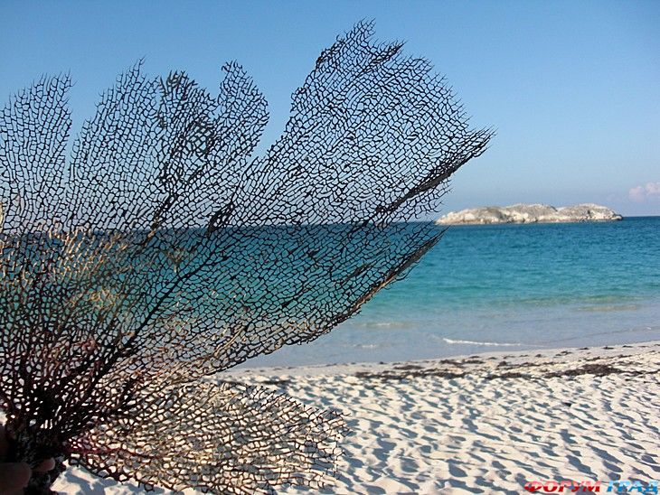 Самостоятельные путешествия