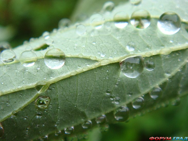 самостоятельные путешествия