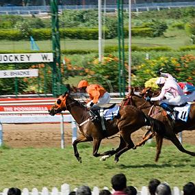 mahalaxmi-racecourse-01