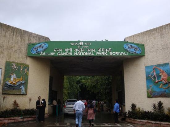 sanjay-gandhi-national-park-01