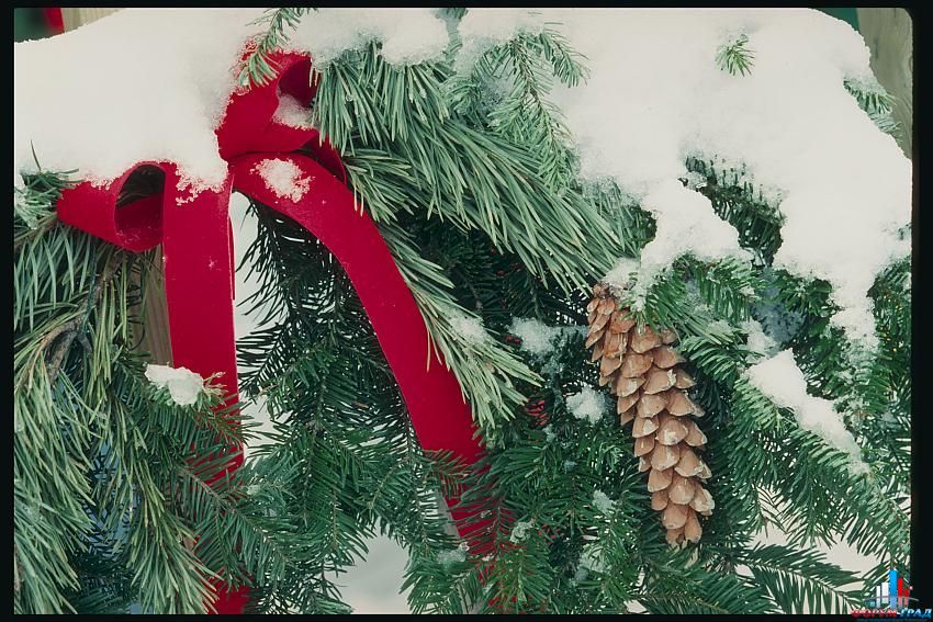 новогодние открытки 2011 год