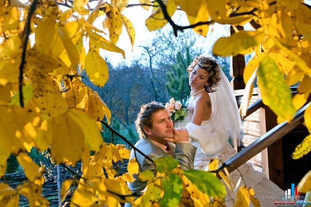 Приколы на свадьбе