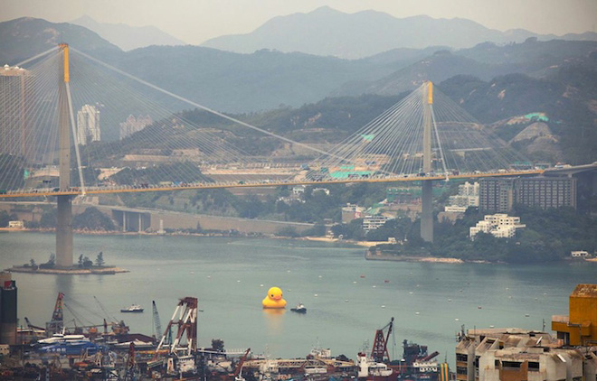 hong-kong-duck-04