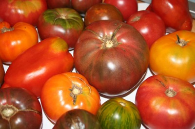 poisonous-foods-we-love-to-eat-06