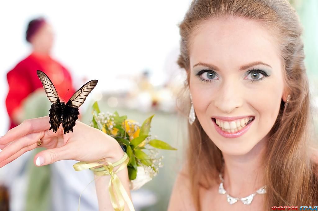 butterfly-wedding-03