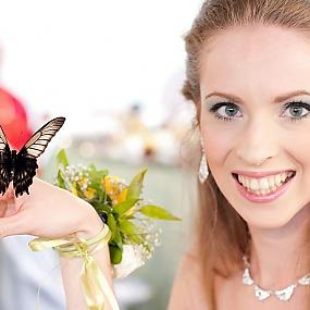 butterfly-wedding-03