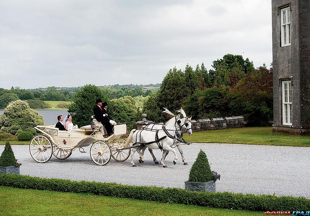 Карета молодых