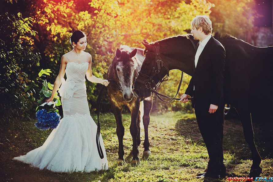 wedding-props-horse-05