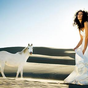 wedding-props-horse-11