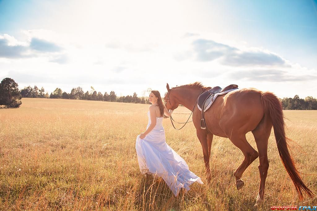 wedding-props-horse-12