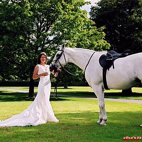 wedding-props-horse-15