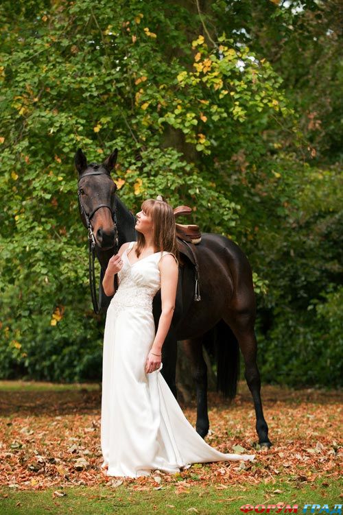 wedding-props-horse-26