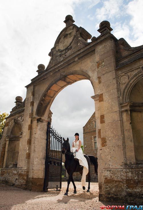 wedding-props-horse-27