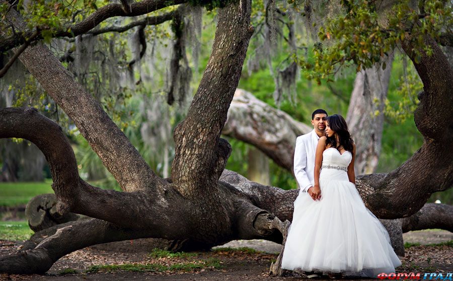 wedding-props-trees-01