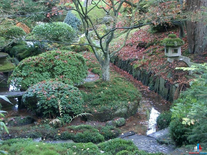 http://gallery.forum-grad.ru/files/1/8/7/7/japangarden-128.jpg