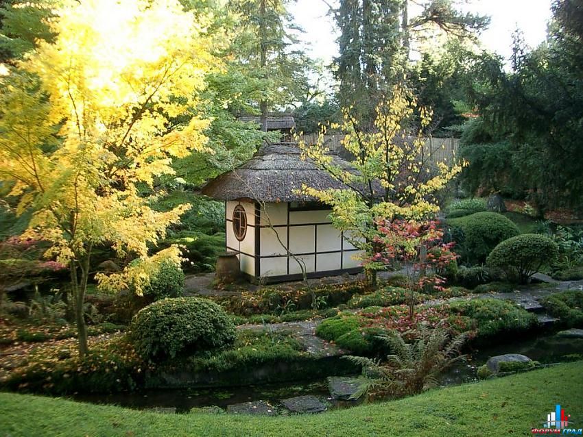 http://gallery.forum-grad.ru/files/1/8/7/7/japangarden-130.jpg