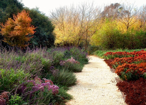 fabulous-drought-resistant-garden-design-05