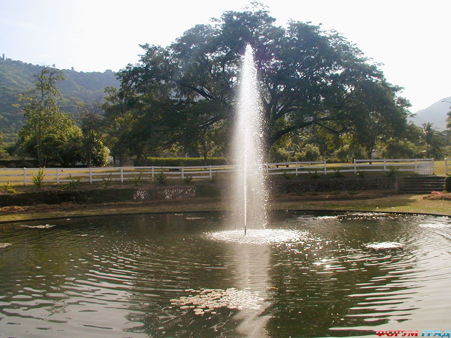 north america-travel-843