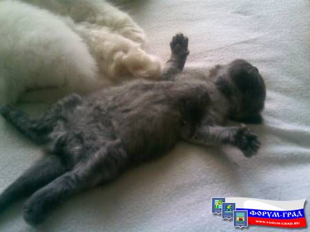 много думал.. устал..