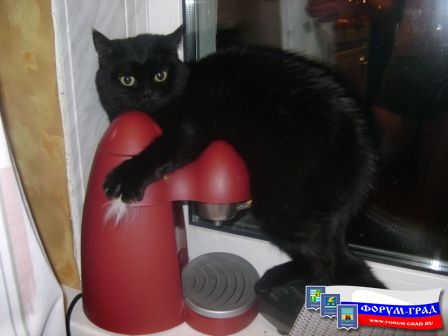 спас кофеварку