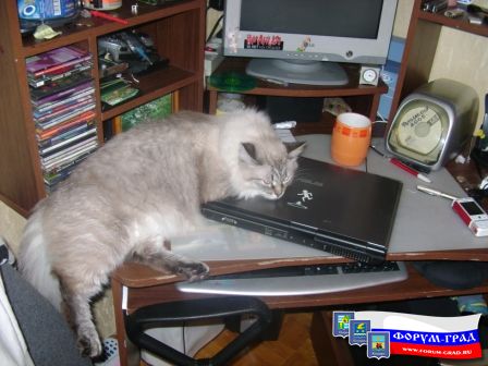 дайте поспать на теплом