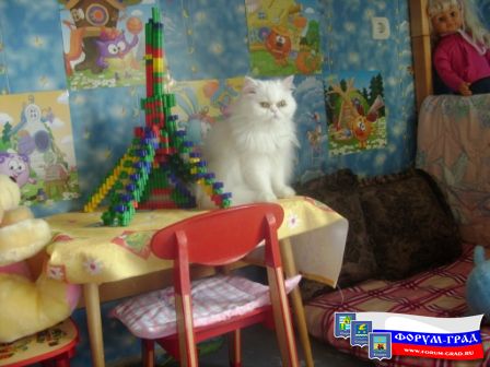 а я башню охраняю