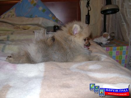 чет задумала видать