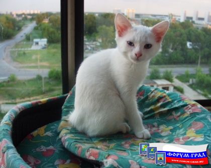 дайте поесть!!!!!!