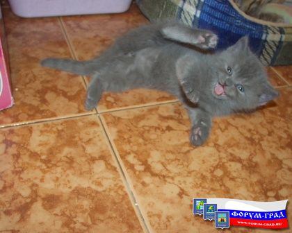 всех порву!!