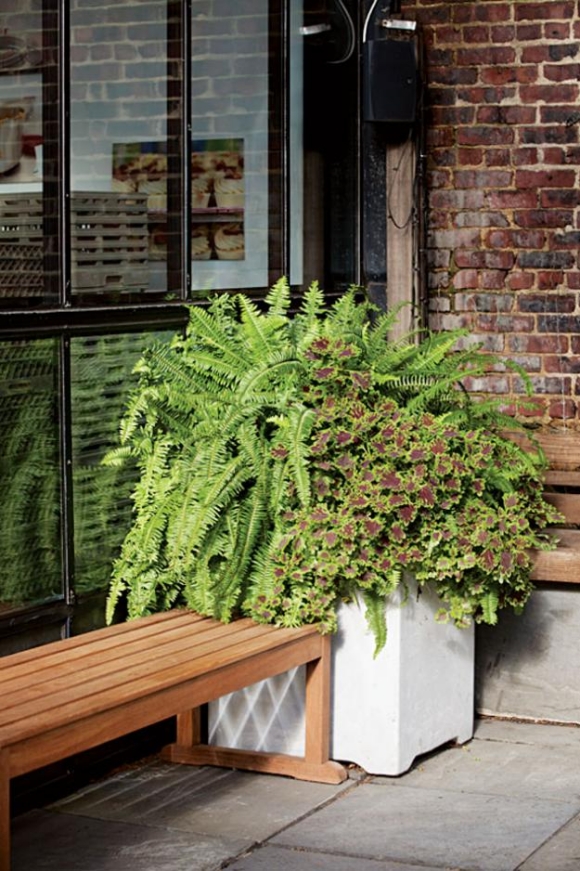 garden-design-james-beard-06