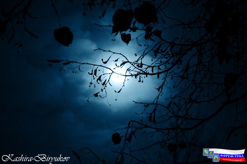 Ночная романтика