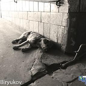 Ни кому не нужен