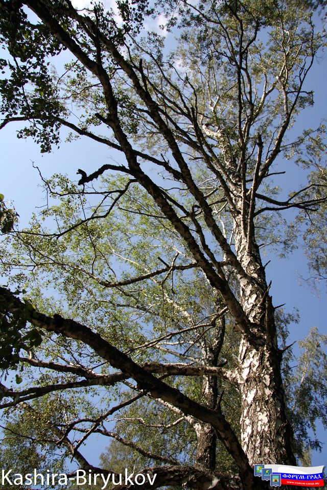 Взглядывая Ввысь